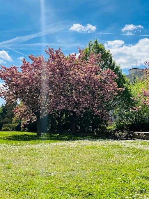 Studio Situe A 5 Min Du Chateau De Versailles Et Stationnement Gratuit エクステリア 写真
